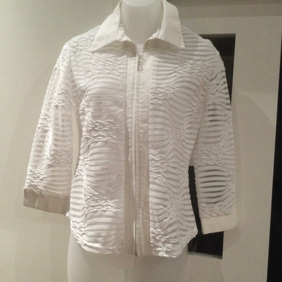 Plum Collection - Sheer Zipper Top - Picture 1 of 3